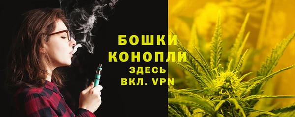 прущая мука Богданович