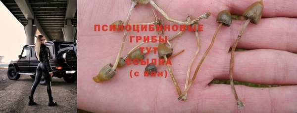 мескалин Беломорск